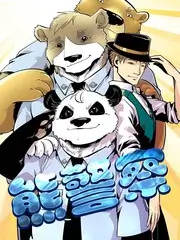 砖石纹理特写画面参考，用于画质评估